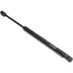 Hood Kit for Acura TL (2004–2005) - Lift Support and Molding Set of 4