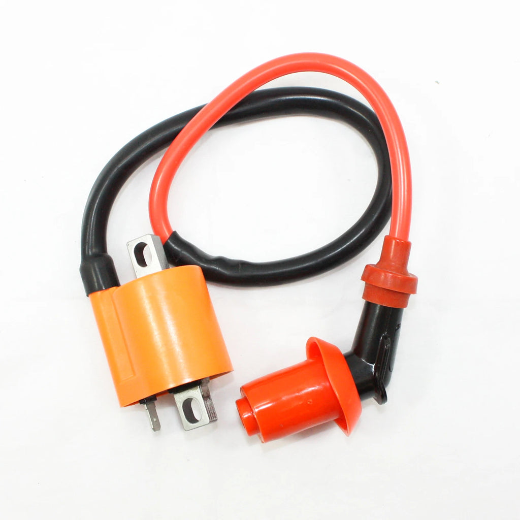 CDI Unit + Coil for 150cc 250cc Pit Pro Quad Dirt Bike ATV Buggy (CDI-6P)