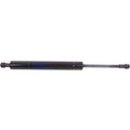 Set of 2 Liftgate Lift Supports for 9-5
