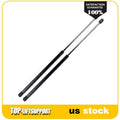 2X Hatch Trunk Lift Supports for Volkswagen Beetle (1998–2010)