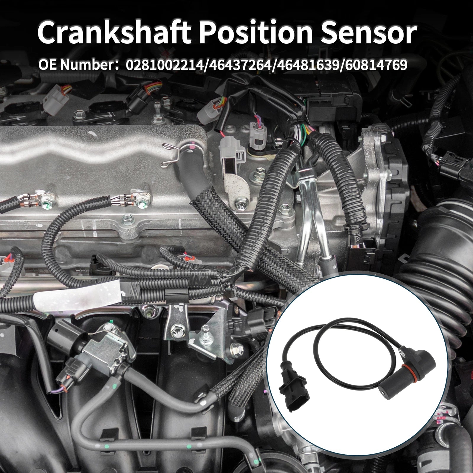 Crankshaft Position Sensor for Chevrolet Colorado 2.8D (2005–2012) No. 0281002214