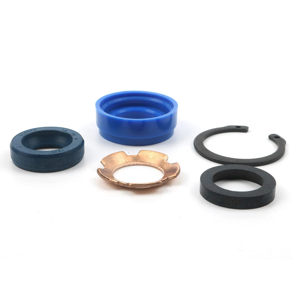 Power Steering Cylinder Seal Kit for Ford 2000 2600 3000 3600 (CAPN3301B)