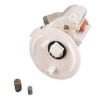 Fuel Pump Assembly for Ford 500, Mercury Montego (2005-2007)