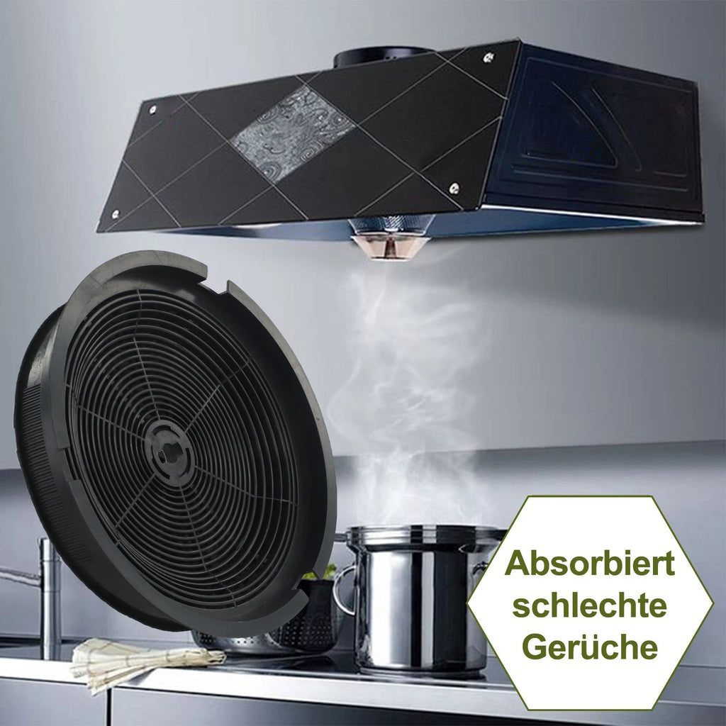 Activated Carbon Filter for Enhance Air Quality (2010–2023)
