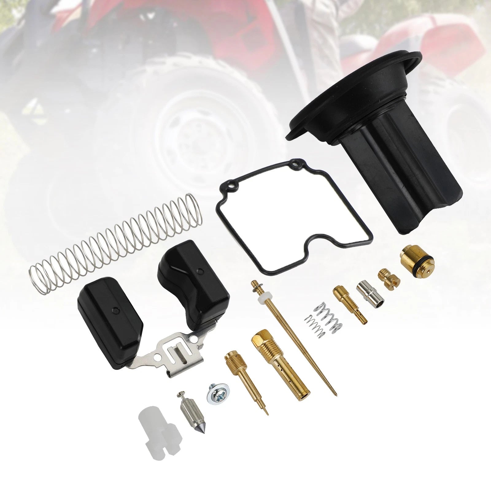 Carburetor Rebuild Kit for 250cc ATV (ATV250, EN250, GP200, GP250, MV30)