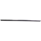 Set of 2 Door Molding and Beltlines for Passenger Right Side