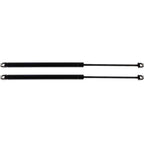 Set of 2 Hood Lift Supports for BMW 328, 318, 323, 325