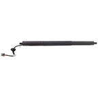 Liftgate Lift Supports for Ford Explorer (2015)