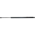 Lift Support for Chrysler Town & Country (2008–2010) Driver & Passenger Side