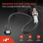 O2 Oxygen Sensor for Ford F-150, Explorer, Escape (2011-2017)