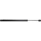 Lift Support for Ford Focus Hatch (2000–2007)