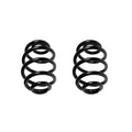 Set of 2 Rear Coil Springs for BMW E36 E46 318i 323i 325i 328i