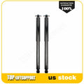 Rear Shocks & Struts for Dodge Dakota (1987–1996)