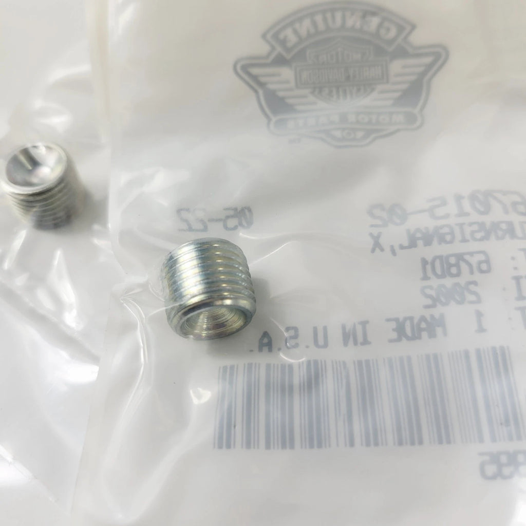 Turn Signal Screw Lock for Harley-Davidson Dyna (2002–2005) 67015-02