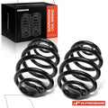 2X Rear Coil Springs for BMW Z4 E89 (2003–2007)