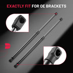 Lift Support for Lexus? (need clarify)