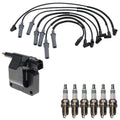 Set of 6 Ignition Coils & Iridium Spark Plugs for Dodge Durango (1998–2003)