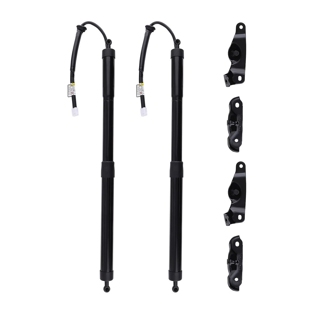 Rear Trunk Lift Support Strut for Toyota Highlander (2014-2019)