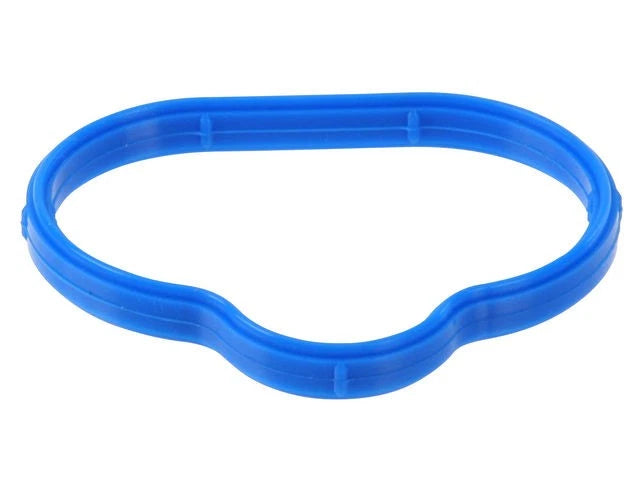 Intake Manifold Gasket for Jaguar Vanden Plas (1998–2003) FJ453FF