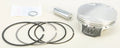 Piston Kit 93.00/Std 11:1 for Armorglide (1993–1993)