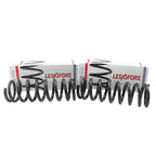 Front Coil Spring Kit for Buick (4112187)