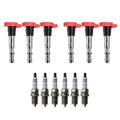 Set of 6 Ignition Coils & Bosch Double Iridium Spark Plugs for Audi A4 A6 (1996–2020)