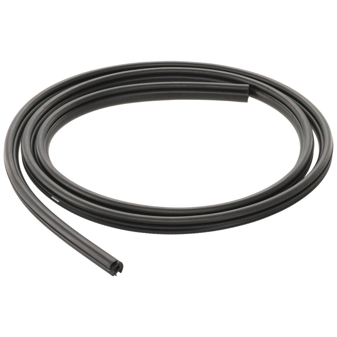 Glass Seal for Ram Truck (Front Driver or Passenger Side)