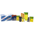 Tune Up Kit with 4 Coils & 4 U-Groove Spark Plugs for Audi VW