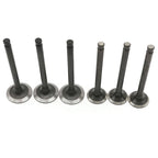 Overhaul Rebuild Kit for Yanmar 3TN100 Engine (Kobelco SK42)