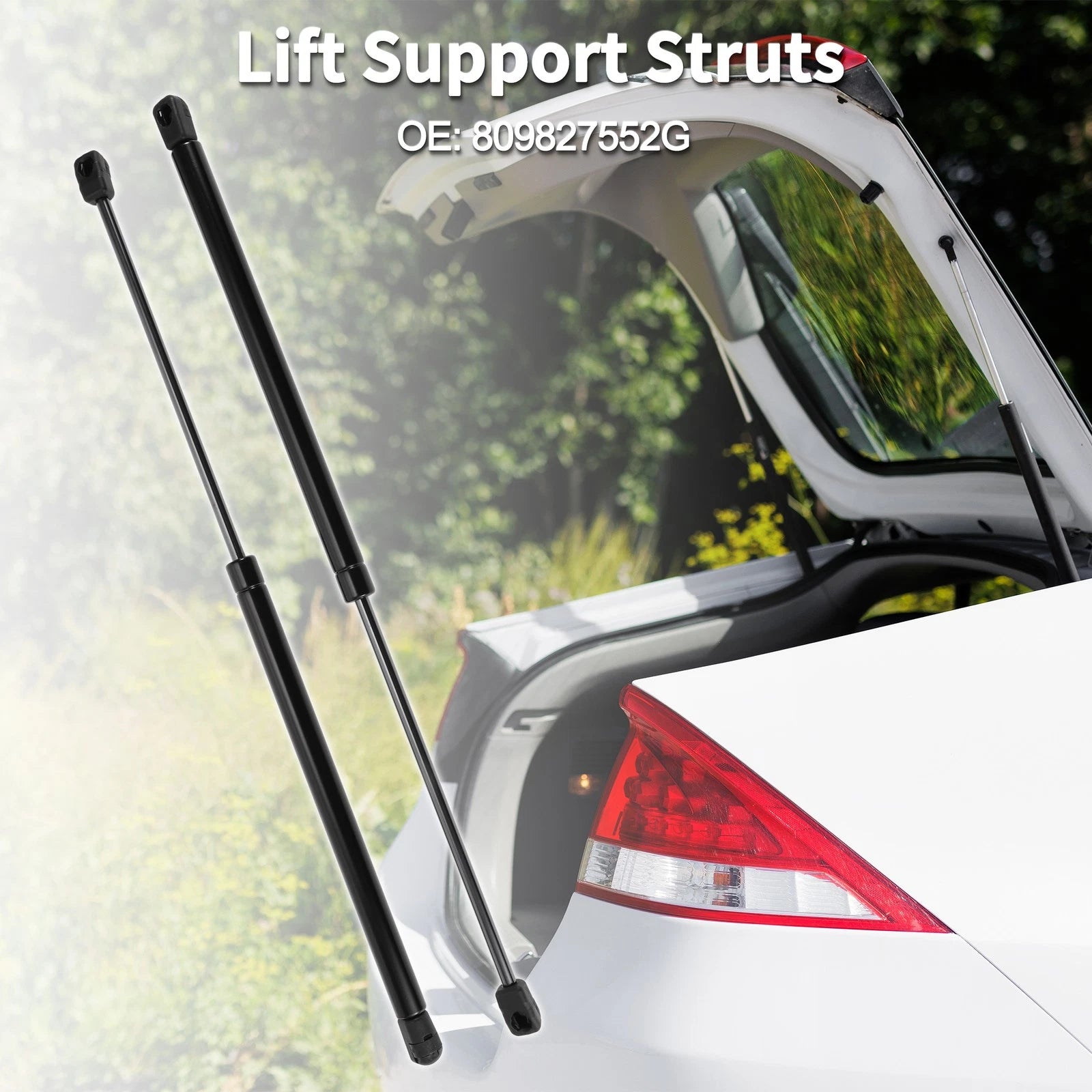 Rear Hatch Lift Supports Struts for Volkswagen Beetle (2012–2019)