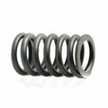 Valve Spring for A-3900276-AI