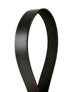 Serpentine Multi-V Belt for Continental Automotive (4070834)