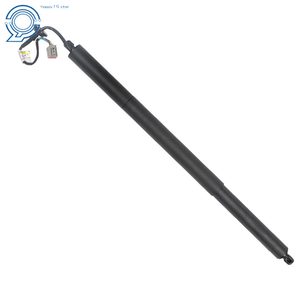 Rear Left Power Lift Support Strut for Hyundai Santa Fe (2013-2016)