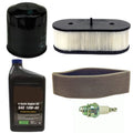 Tune Up Maintenance Kit for Kawasaki FH480V KAI FH541V KAI FH580V (99969-6140)