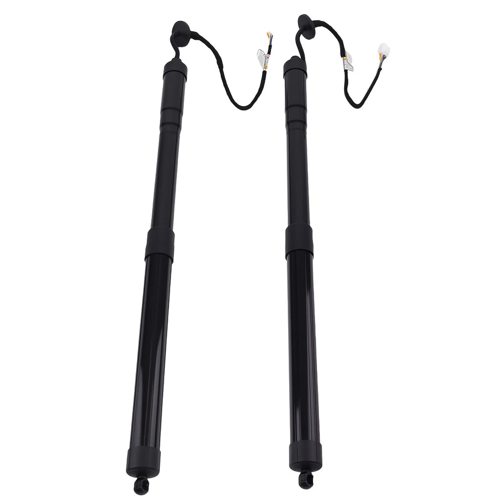 2X Rear Tailgate Lift Support for Lexus NX300 NX300h (2019) AZ10 2.5L