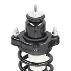 2X Rear Struts w/ Coil Spring for Mitsubishi Lancer (2008–2010) DE/ES