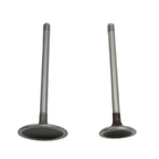 Intake & Exhaust Valves for Chrysler Dodge Ram 1500 Jeep Charger (2009–2018)