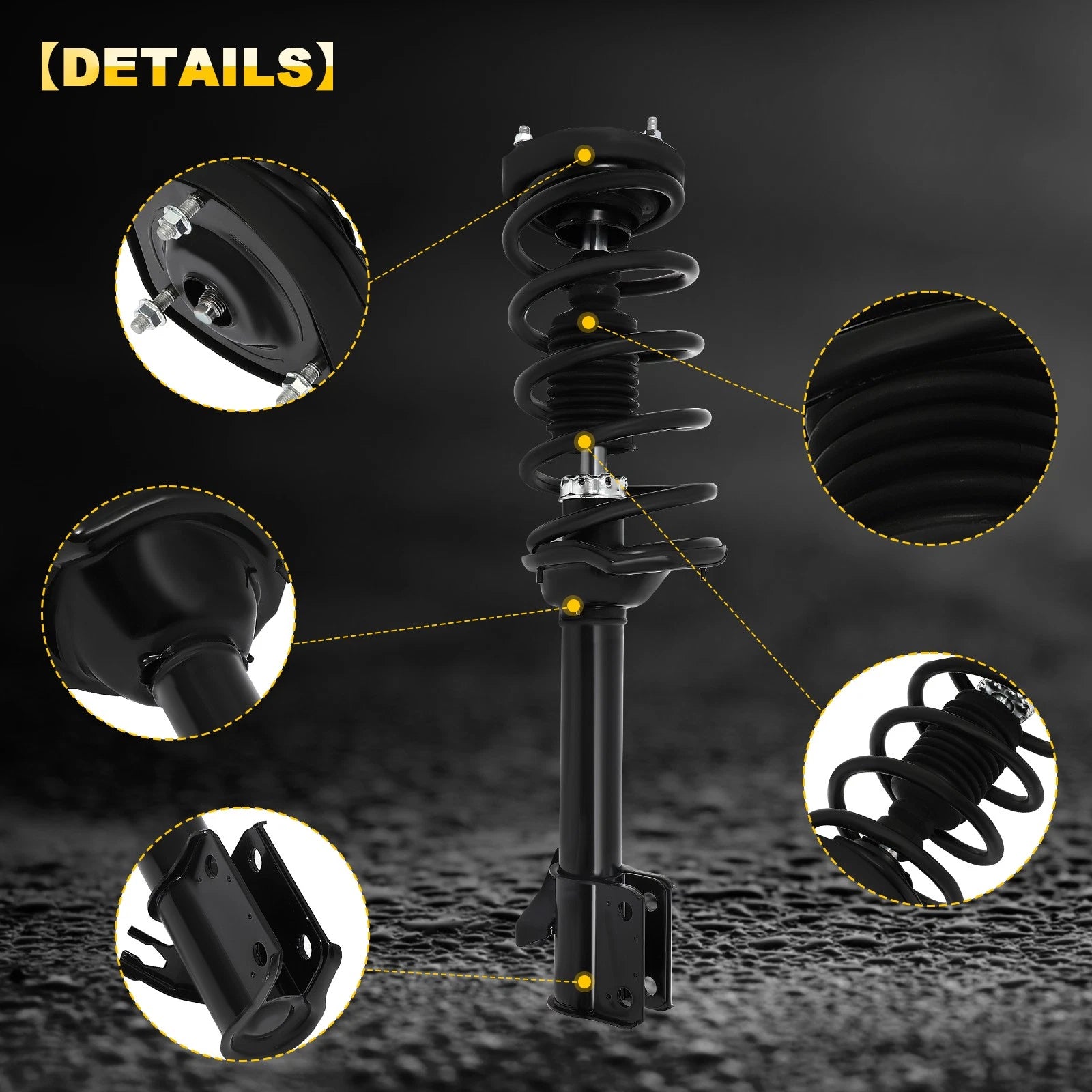 Set of 2 Rear Complete Struts with Coil Springs for Subaru Forester