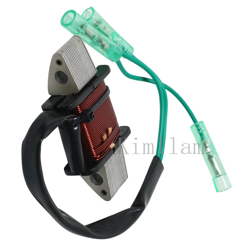 Magneto Stator Coil for Yamaha Outboard 60HP E60H MHDL (2010–2017) 6H3-85533-A0