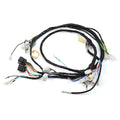 Coil Switch CDI Relay & Wire Harness for Yamaha Warrior 350 (1997–2001)
