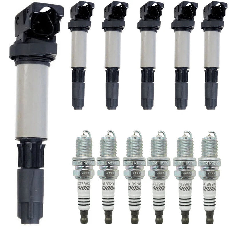 6X Ignition Coil + Spark Plug for BMW E46 E53 E60 E83 E90 (1998–2013) 12131712219