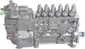 Fuel Injection Pump Assembly 3415495 for Cummins 6CT8.3-C240 (1998–2002)