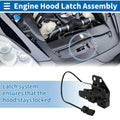 Hood Latch Assembly for Audi S4 (2001–2009) No. 4FD823509