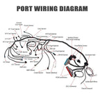 Vortec Stand Alone Wiring Harness for LS Swap 4L60E (1997–2006)