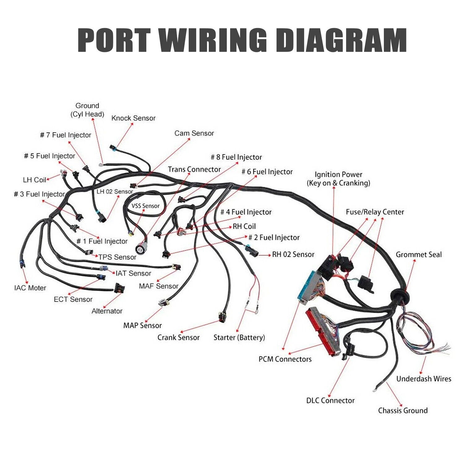 Vortec Stand Alone Wiring Harness for LS Swap 4L60E (1997–2006)