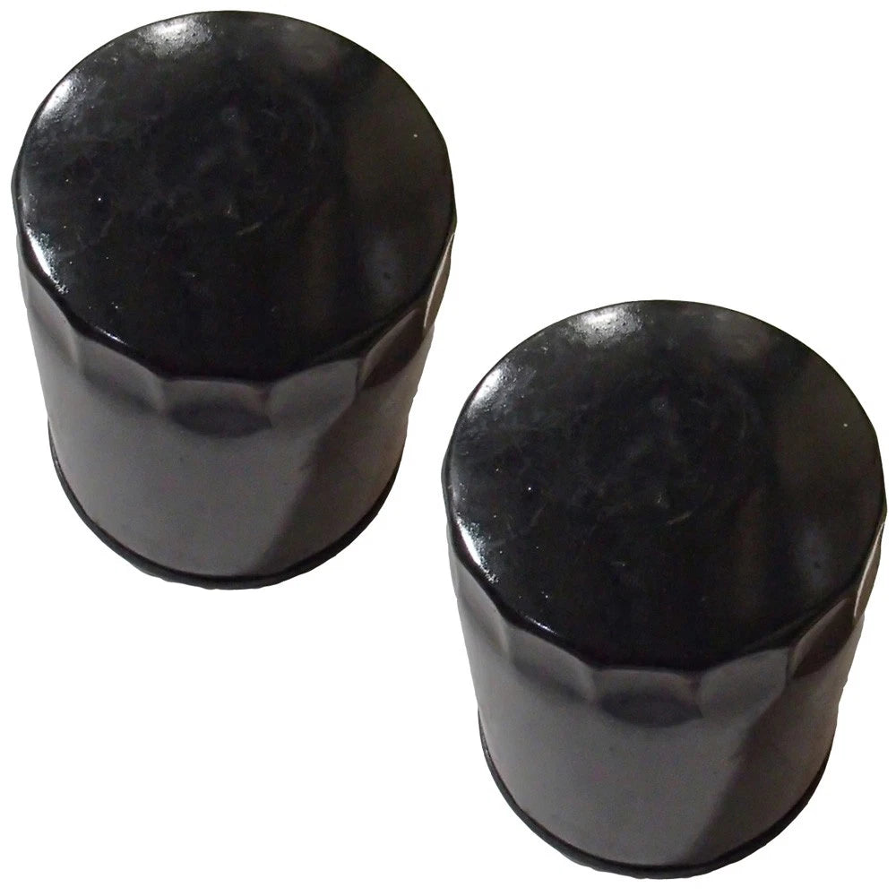 2X Oil Filters for Simplicity (Replaces 1719168)
