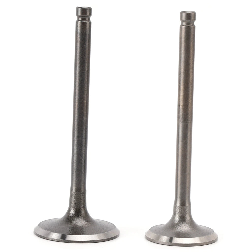 Intake & Exhaust Valves for Suzuki DF 90 100 115 140 HP (2001–2014)