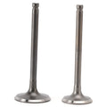 Intake & Exhaust Valves for Suzuki DF 90 100 115 140 HP (2001–2014)