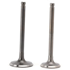 Intake & Exhaust Valves for Suzuki DF 90 100 115 140 HP (2001–2014)