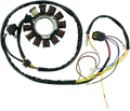 Stator for Rick's Motorsport Electric (21-556)